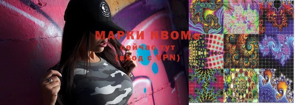 гашик Сосновка