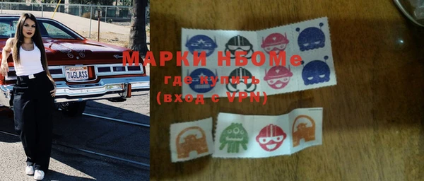 гашик Сосновка