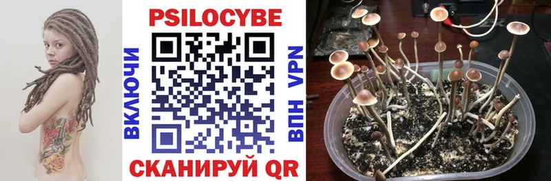 Купить закладки  Кострома  Псилоцибиновые грибы мицелий 